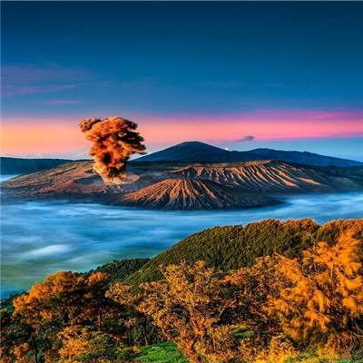 心动庄园2陌陌版本下载