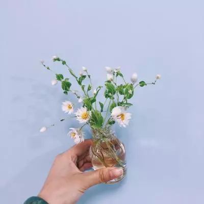 仙魔变手游变态版下载
